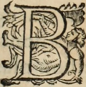An illustration from Divers plaidoyez tovchant la cavse dv gvevx de Vernon : avec le plaidoyé de monsieur Bignon, advocat general : Et quelques autres plaidoyez, & errests sur differentes matières, 1665, leaf 352