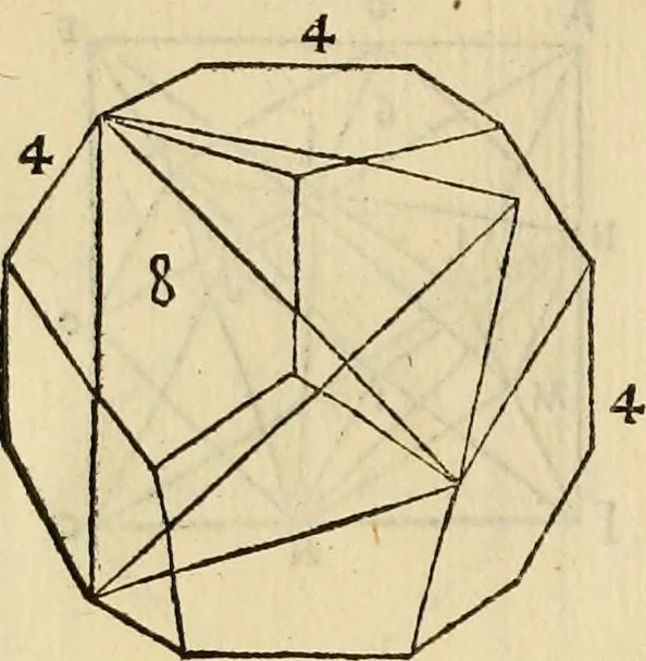 An illustration from Divina proportione : opera a tutti glingegni perspicaci e curiosi necessaria oue ciascun studioso di philosophia: prospettiua pictura sculptura: architectura: musica: e altre mathematice: suavissima: sotile: e admirabile doctrina consequira: e delecterassi: co[n] varie questione de secretissima scientia, 1509, leaf 113