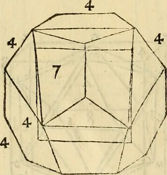 An illustration from Divina proportione : opera a tutti glingegni perspicaci e curiosi necessaria oue ciascun studioso di philosophia: prospettiua pictura sculptura: architectura: musica: e altre mathematice: suavissima: sotile: e admirabile doctrina consequira: e delecterassi: co[n] varie questione de secretissima scientia, 1509, leaf 113