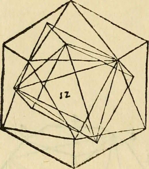 An illustration from Divina proportione : opera a tutti glingegni perspicaci e curiosi necessaria oue ciascun studioso di philosophia: prospettiua pictura sculptura: architectura: musica: e altre mathematice: suavissima: sotile: e admirabile doctrina consequira: e delecterassi: co[n] varie questione de secretissima scientia, 1509, leaf 115