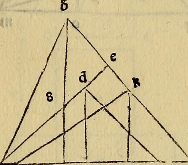 An illustration from Divina proportione : opera a tutti glingegni perspicaci e curiosi necessaria oue ciascun studioso di philosophia: prospettiua pictura sculptura: architectura: musica: e altre mathematice: suavissima: sotile: e admirabile doctrina consequira: e delecterassi: co[n] varie questione de secretissima scientia, 1509, leaf 126