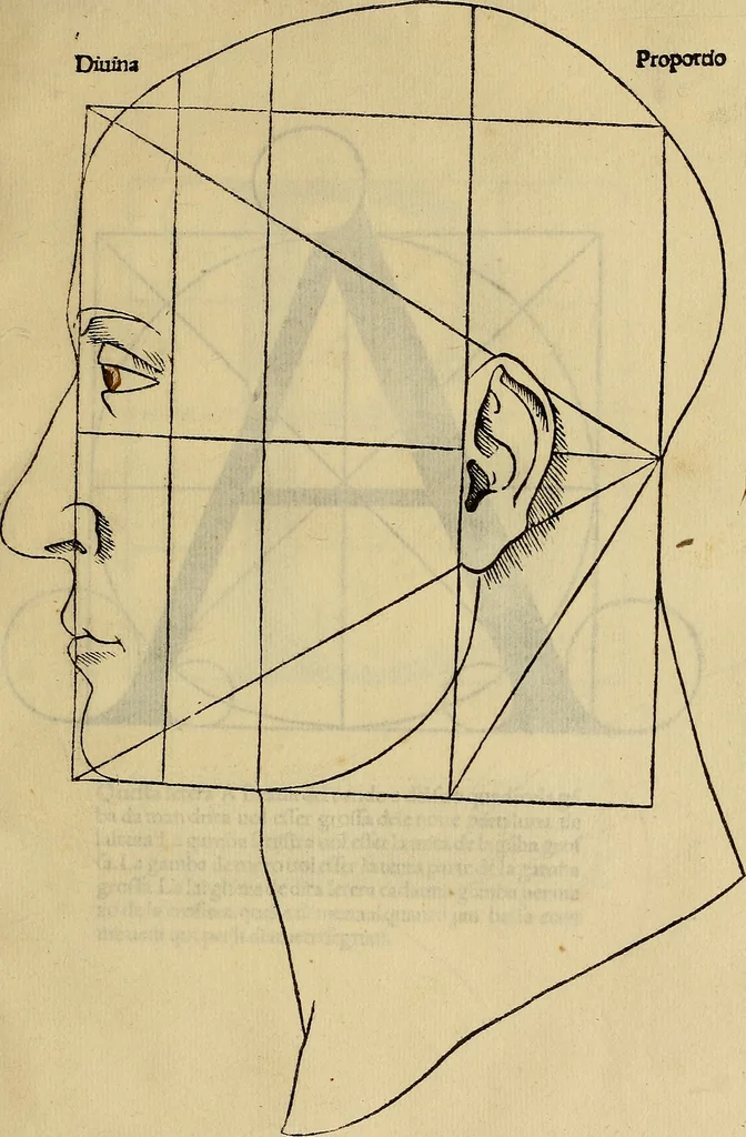 An illustration from Divina proportione : opera a tutti glingegni perspicaci e curiosi necessaria oue ciascun studioso di philosophia: prospettiua pictura sculptura: architectura: musica: e altre mathematice: suavissima: sotile: e admirabile doctrina consequira: e delecterassi: co[n] varie questione de secretissima scientia, 1509, leaf 136