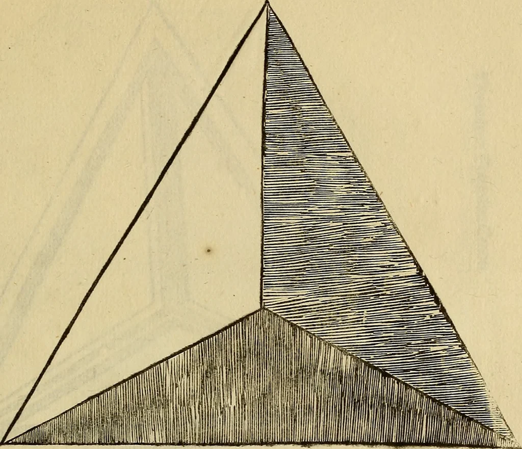 An illustration from Divina proportione : opera a tutti glingegni perspicaci e curiosi necessaria oue ciascun studioso di philosophia: prospettiua pictura sculptura: architectura: musica: e altre mathematice: suavissima: sotile: e admirabile doctrina consequira: e delecterassi: co[n] varie questione de secretissima scientia, 1509, leaf 186