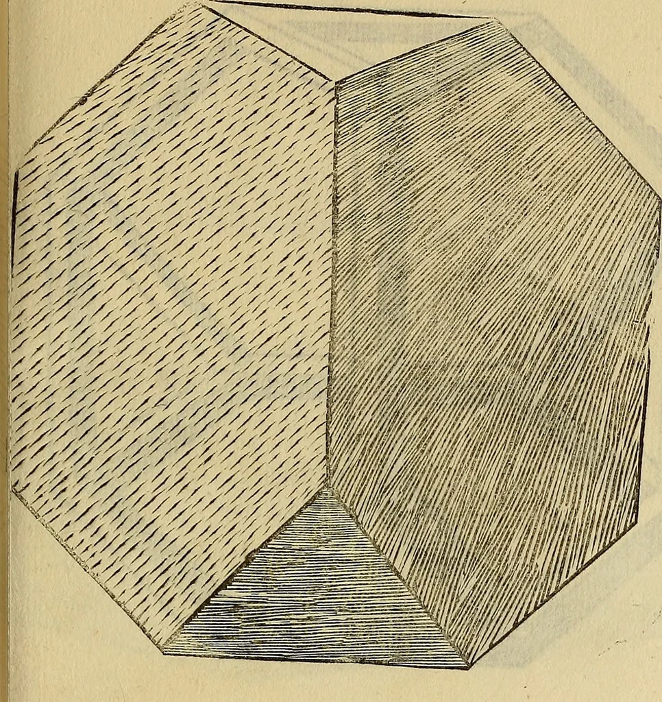 An illustration from Divina proportione : opera a tutti glingegni perspicaci e curiosi necessaria oue ciascun studioso di philosophia: prospettiua pictura sculptura: architectura: musica: e altre mathematice: suavissima: sotile: e admirabile doctrina consequira: e delecterassi: co[n] varie questione de secretissima scientia, 1509, leaf 190