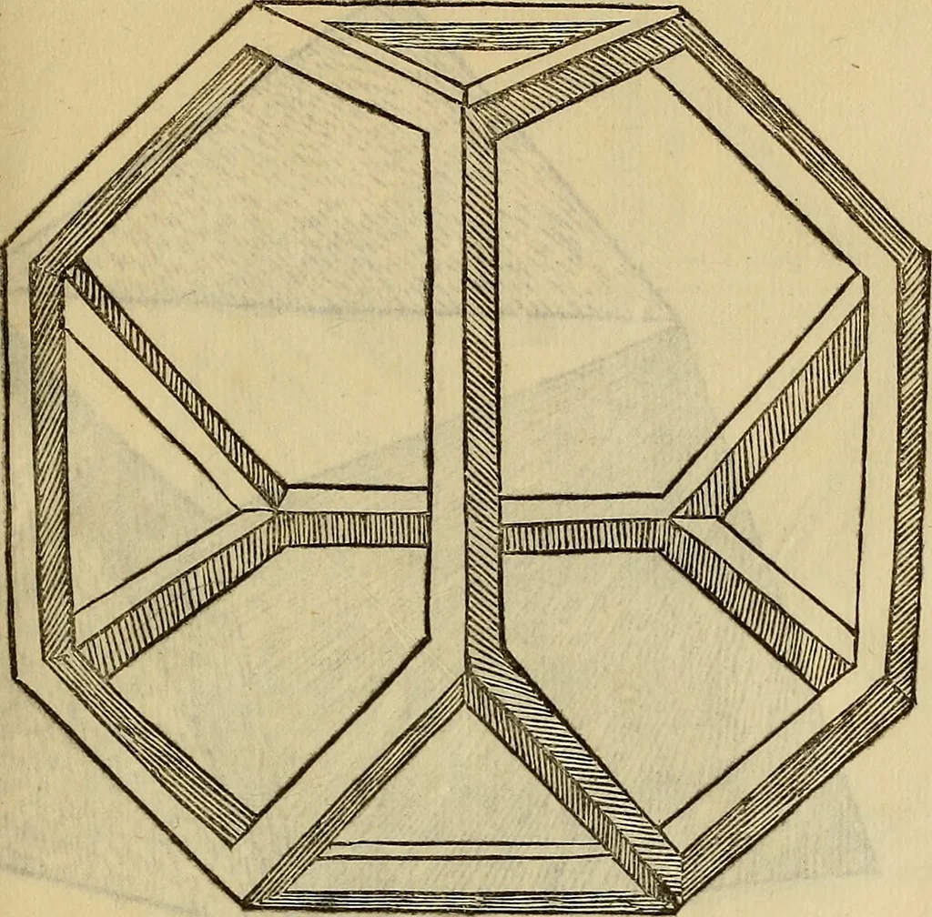 An illustration from Divina proportione : opera a tutti glingegni perspicaci e curiosi necessaria oue ciascun studioso di philosophia: prospettiua pictura sculptura: architectura: musica: e altre mathematice: suavissima: sotile: e admirabile doctrina consequira: e delecterassi: co[n] varie questione de secretissima scientia, 1509, leaf 192