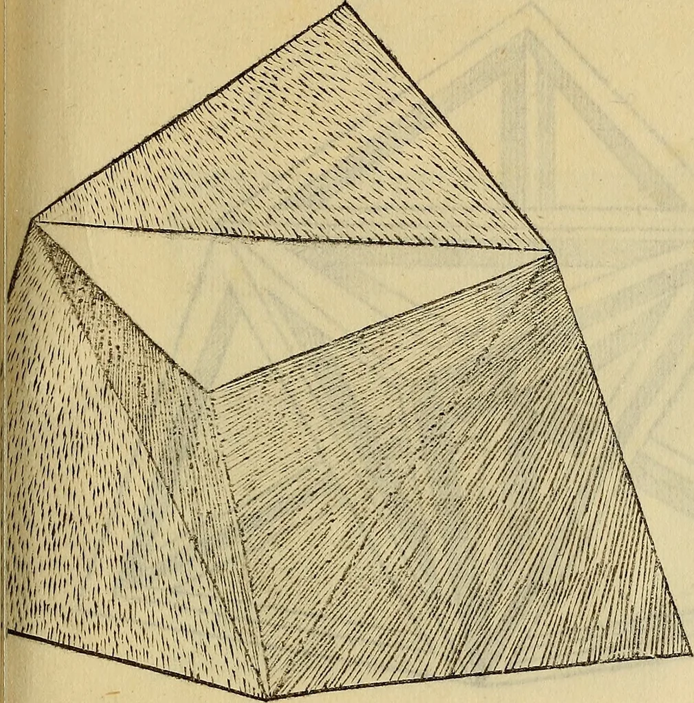 An illustration from Divina proportione : opera a tutti glingegni perspicaci e curiosi necessaria oue ciascun studioso di philosophia: prospettiua pictura sculptura: architectura: musica: e altre mathematice: suavissima: sotile: e admirabile doctrina consequira: e delecterassi: co[n] varie questione de secretissima scientia, 1509, leaf 194