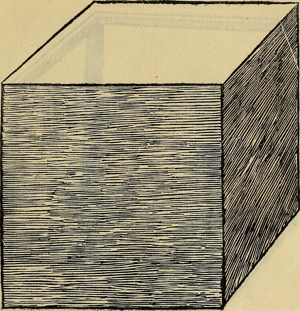 An illustration from Divina proportione : opera a tutti glingegni perspicaci e curiosi necessaria oue ciascun studioso di philosophia: prospettiua pictura sculptura: architectura: musica: e altre mathematice: suavissima: sotile: e admirabile doctrina consequira: e delecterassi: co[n] varie questione de secretissima scientia, 1509, leaf 198