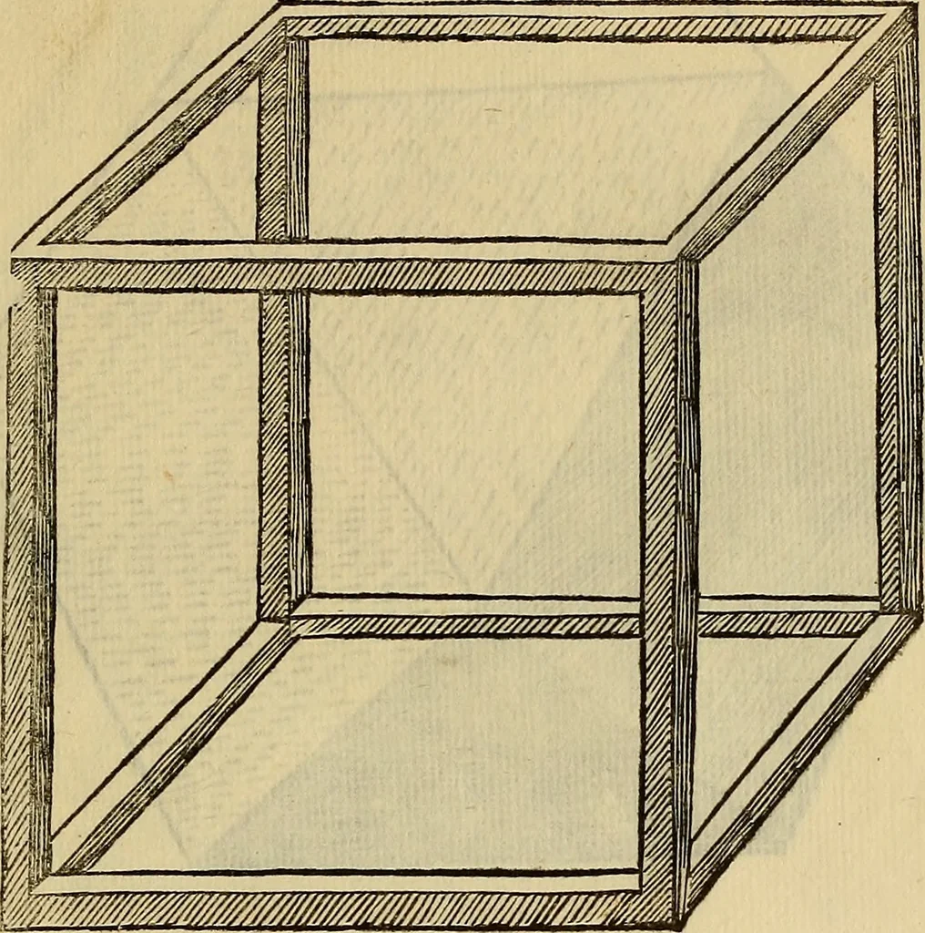 An illustration from Divina proportione : opera a tutti glingegni perspicaci e curiosi necessaria oue ciascun studioso di philosophia: prospettiua pictura sculptura: architectura: musica: e altre mathematice: suavissima: sotile: e admirabile doctrina consequira: e delecterassi: co[n] varie questione de secretissima scientia, 1509, leaf 200