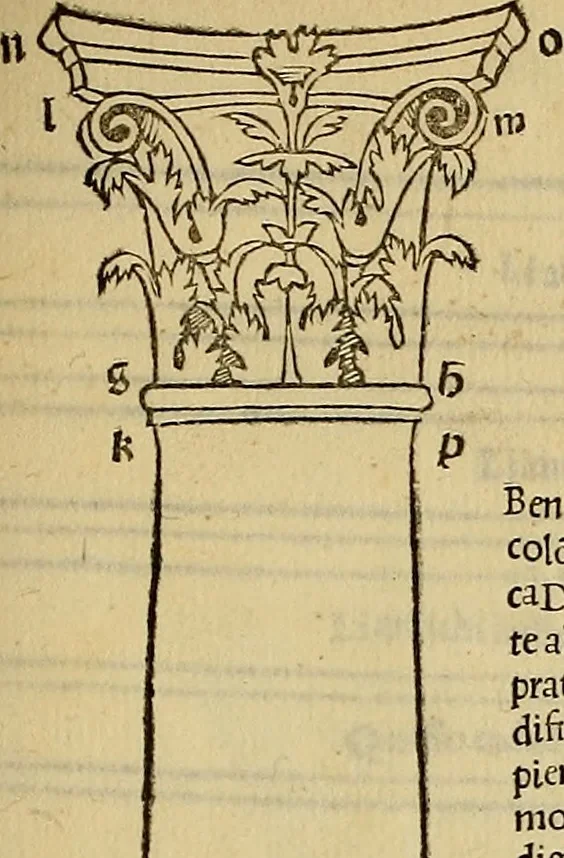 An illustration from Divina proportione : opera a tutti glingegni perspicaci e curiosi necessaria oue ciascun studioso di philosophia: prospettiua pictura sculptura: architectura: musica: e altre mathematice: suavissima: sotile: e admirabile doctrina consequira: e delecterassi: co[n] varie questione de secretissima scientia, 1509, leaf 212
