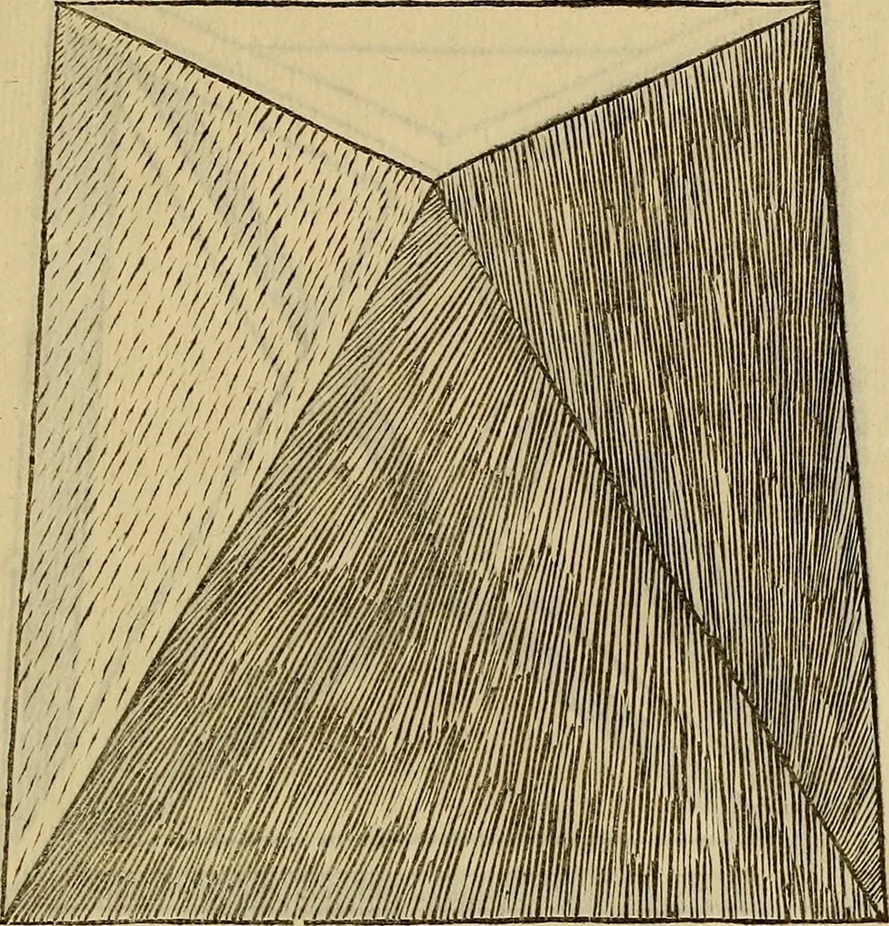 An illustration from Divina proportione : opera a tutti glingegni perspicaci e curiosi necessaria oue ciascun studioso di philosophia: prospettiua pictura sculptura: architectura: musica: e altre mathematice: suavissima: sotile: e admirabile doctrina consequira: e delecterassi: co[n] varie questione de secretissima scientia, 1509, leaf 218