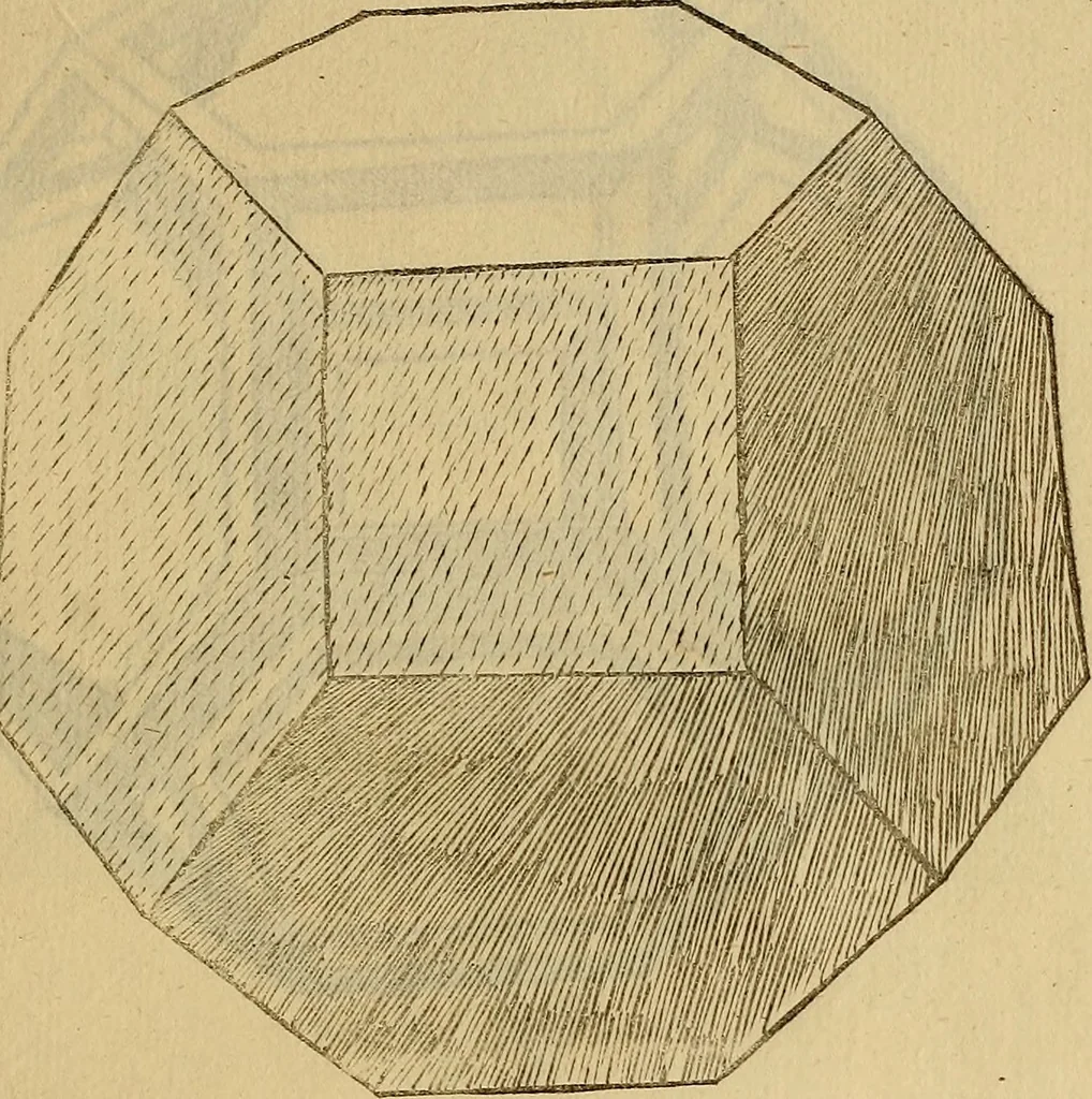 An illustration from Divina proportione : opera a tutti glingegni perspicaci e curiosi necessaria oue ciascun studioso di philosophia: prospettiua pictura sculptura: architectura: musica: e altre mathematice: suavissima: sotile: e admirabile doctrina consequira: e delecterassi: co[n] varie questione de secretissima scientia, 1509, leaf 222