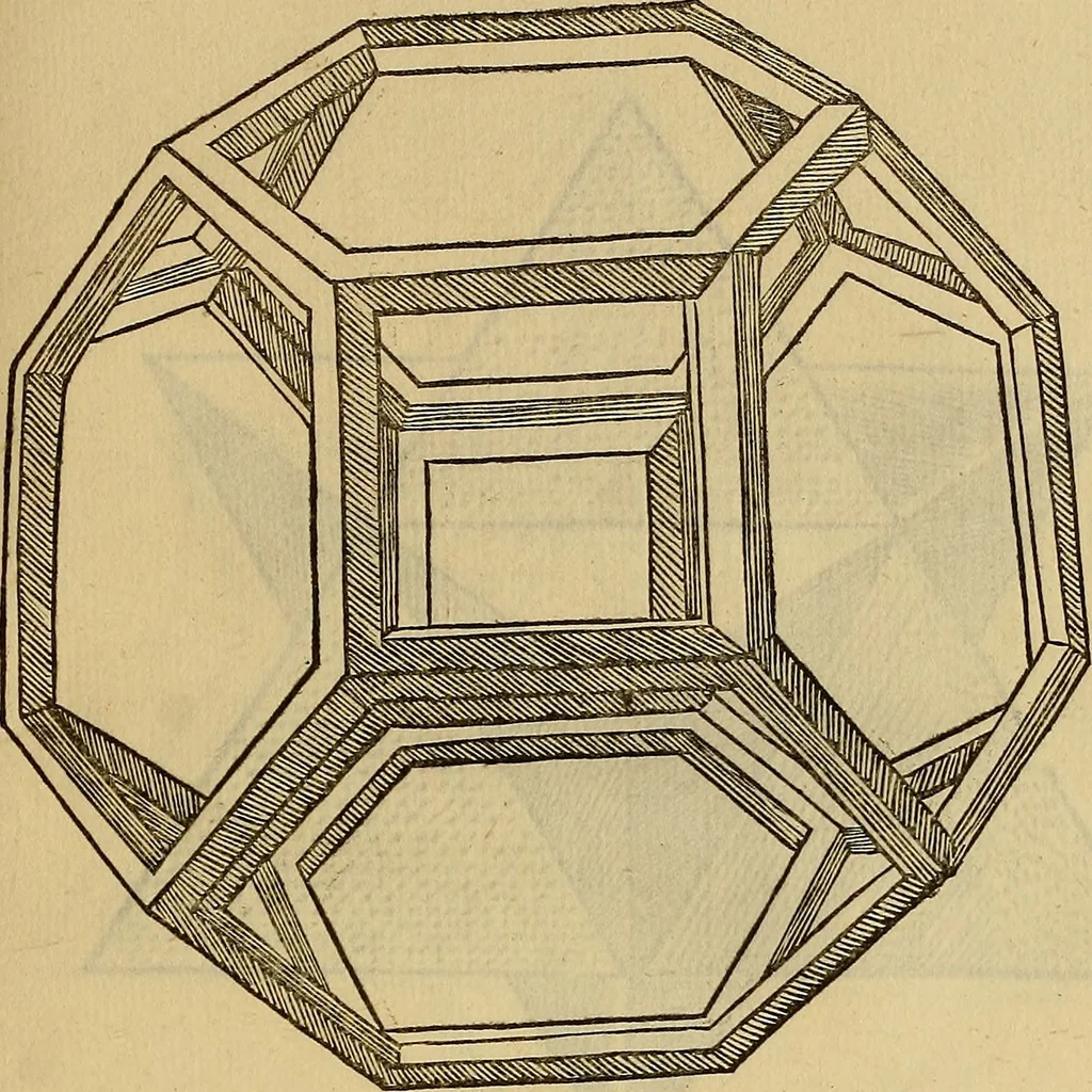 An illustration from Divina proportione : opera a tutti glingegni perspicaci e curiosi necessaria oue ciascun studioso di philosophia: prospettiua pictura sculptura: architectura: musica: e altre mathematice: suavissima: sotile: e admirabile doctrina consequira: e delecterassi: co[n] varie questione de secretissima scientia, 1509, leaf 224