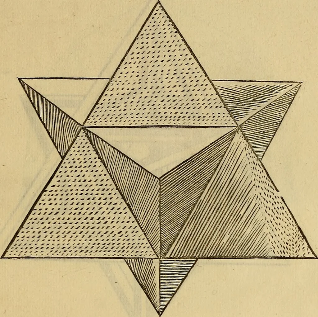 An illustration from Divina proportione : opera a tutti glingegni perspicaci e curiosi necessaria oue ciascun studioso di philosophia: prospettiua pictura sculptura: architectura: musica: e altre mathematice: suavissima: sotile: e admirabile doctrina consequira: e delecterassi: co[n] varie questione de secretissima scientia, 1509, leaf 226