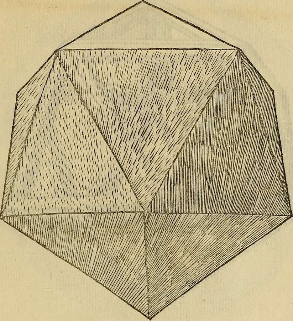 An illustration from Divina proportione : opera a tutti glingegni perspicaci e curiosi necessaria oue ciascun studioso di philosophia: prospettiua pictura sculptura: architectura: musica: e altre mathematice: suavissima: sotile: e admirabile doctrina consequira: e delecterassi: co[n] varie questione de secretissima scientia, 1509, leaf 230