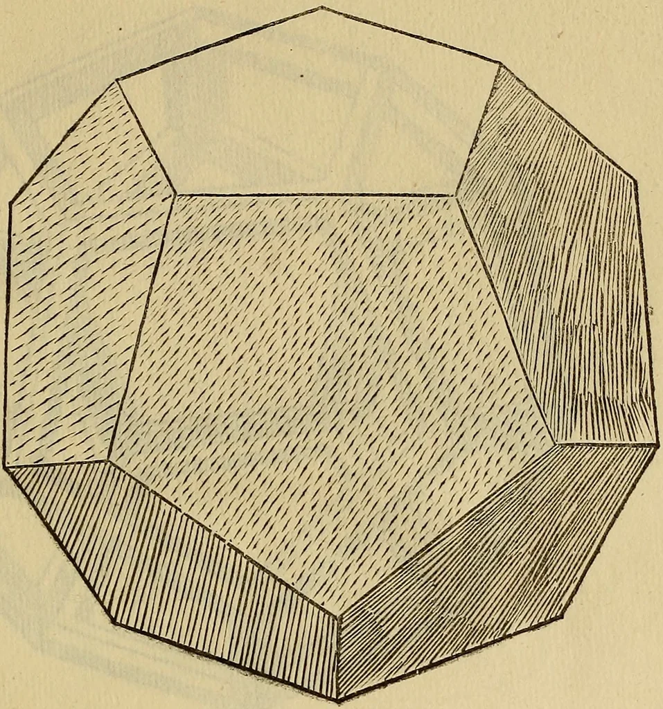 An illustration from Divina proportione : opera a tutti glingegni perspicaci e curiosi necessaria oue ciascun studioso di philosophia: prospettiua pictura sculptura: architectura: musica: e altre mathematice: suavissima: sotile: e admirabile doctrina consequira: e delecterassi: co[n] varie questione de secretissima scientia, 1509, leaf 242