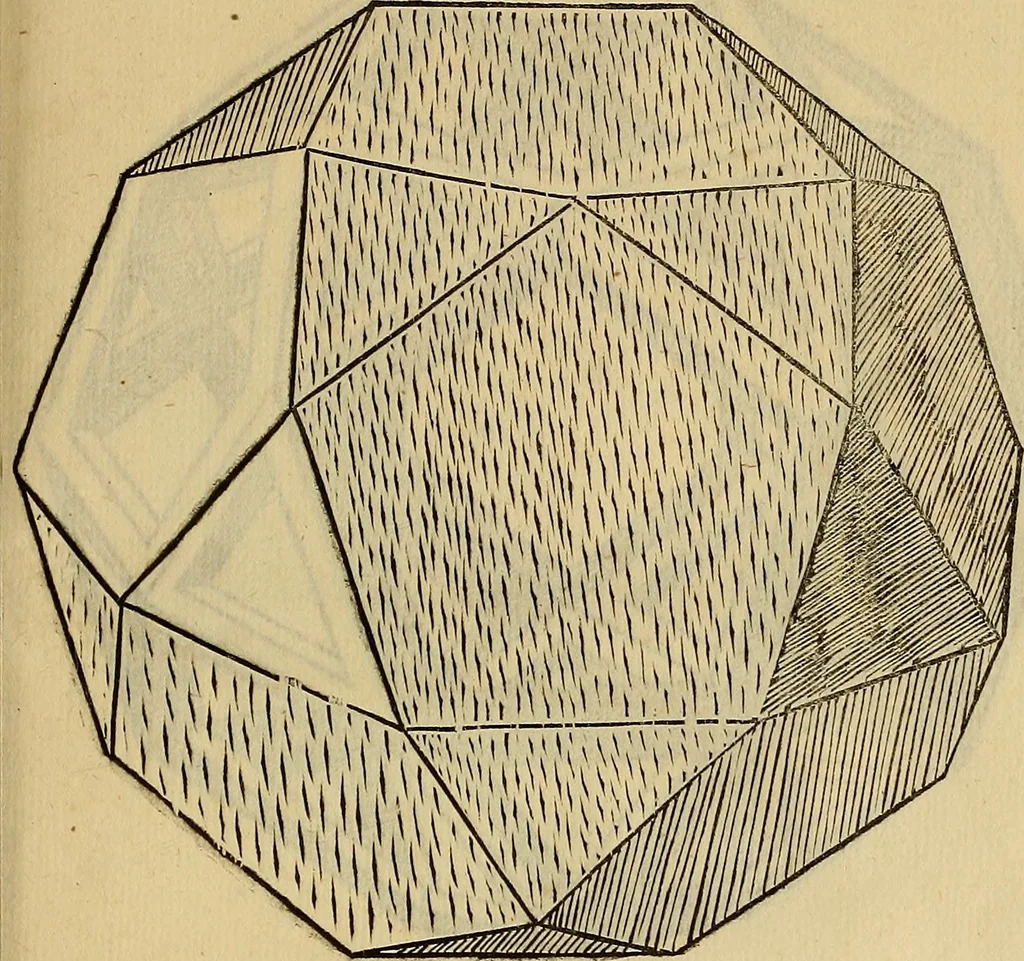 An illustration from Divina proportione : opera a tutti glingegni perspicaci e curiosi necessaria oue ciascun studioso di philosophia: prospettiua pictura sculptura: architectura: musica: e altre mathematice: suavissima: sotile: e admirabile doctrina consequira: e delecterassi: co[n] varie questione de secretissima scientia, 1509, leaf 246