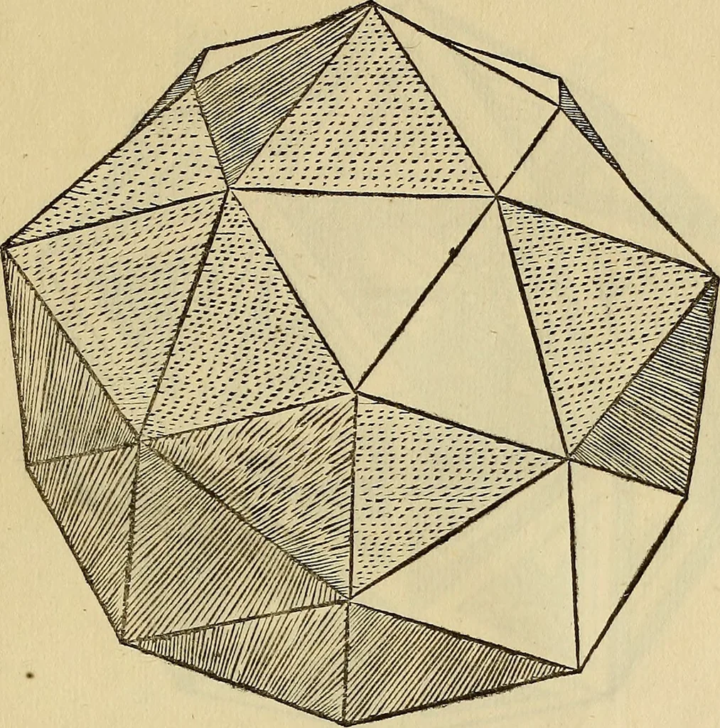 An illustration from Divina proportione : opera a tutti glingegni perspicaci e curiosi necessaria oue ciascun studioso di philosophia: prospettiua pictura sculptura: architectura: musica: e altre mathematice: suavissima: sotile: e admirabile doctrina consequira: e delecterassi: co[n] varie questione de secretissima scientia, 1509, leaf 250