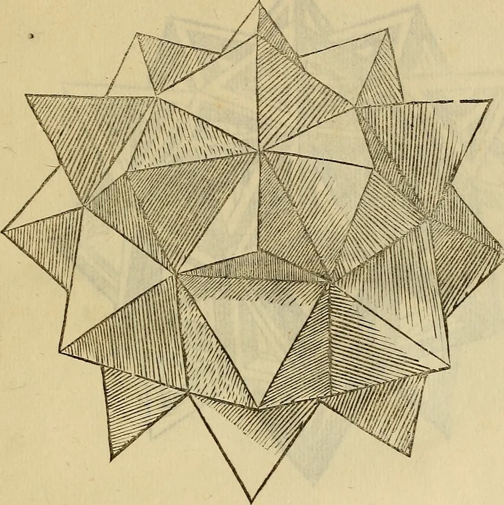 An illustration from Divina proportione : opera a tutti glingegni perspicaci e curiosi necessaria oue ciascun studioso di philosophia: prospettiua pictura sculptura: architectura: musica: e altre mathematice: suavissima: sotile: e admirabile doctrina consequira: e delecterassi: co[n] varie questione de secretissima scientia, 1509, leaf 262