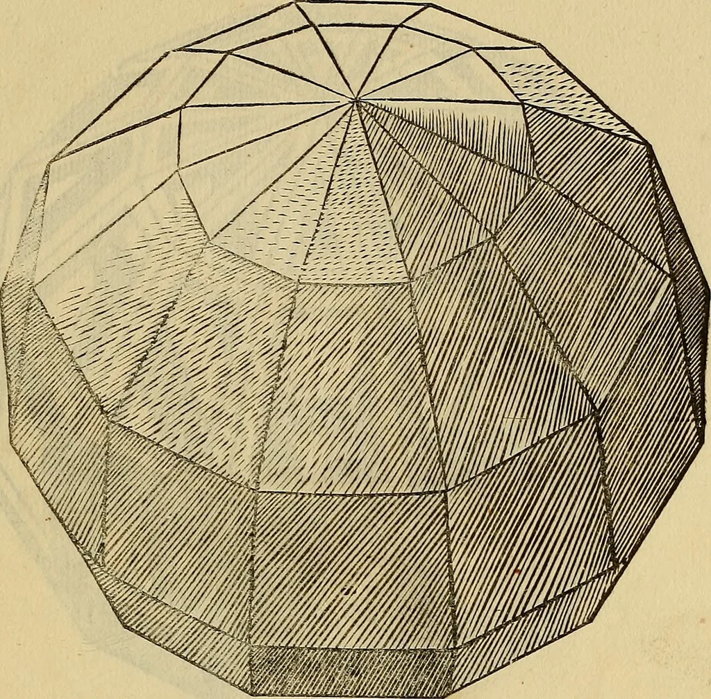 An illustration from Divina proportione : opera a tutti glingegni perspicaci e curiosi necessaria oue ciascun studioso di philosophia: prospettiua pictura sculptura: architectura: musica: e altre mathematice: suavissima: sotile: e admirabile doctrina consequira: e delecterassi: co[n] varie questione de secretissima scientia, 1509, leaf 266