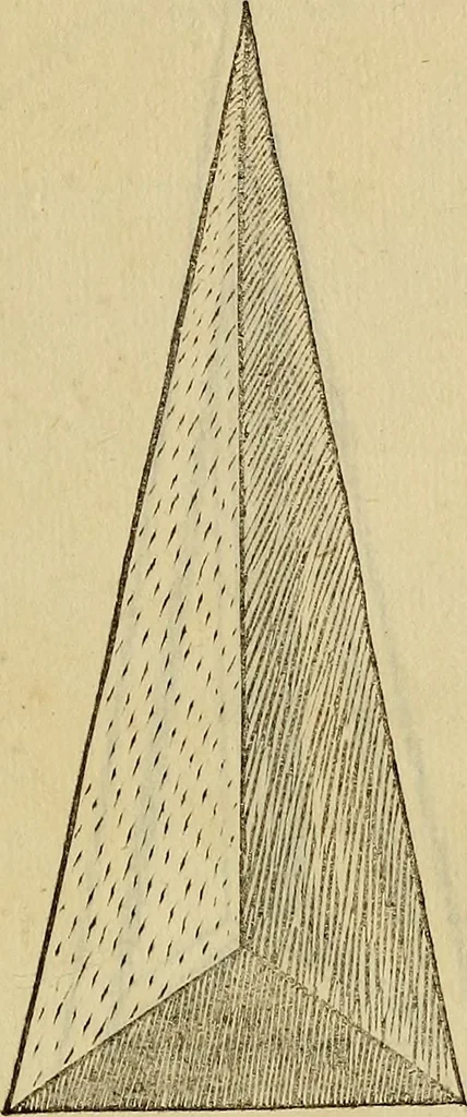 An illustration from Divina proportione : opera a tutti glingegni perspicaci e curiosi necessaria oue ciascun studioso di philosophia: prospettiua pictura sculptura: architectura: musica: e altre mathematice: suavissima: sotile: e admirabile doctrina consequira: e delecterassi: co[n] varie questione de secretissima scientia, 1509, leaf 274
