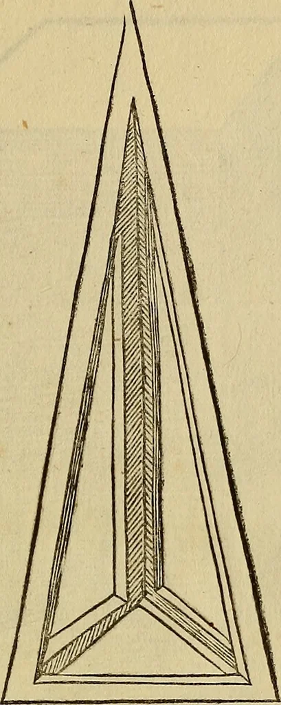 An illustration from Divina proportione : opera a tutti glingegni perspicaci e curiosi necessaria oue ciascun studioso di philosophia: prospettiua pictura sculptura: architectura: musica: e altre mathematice: suavissima: sotile: e admirabile doctrina consequira: e delecterassi: co[n] varie questione de secretissima scientia, 1509, leaf 276