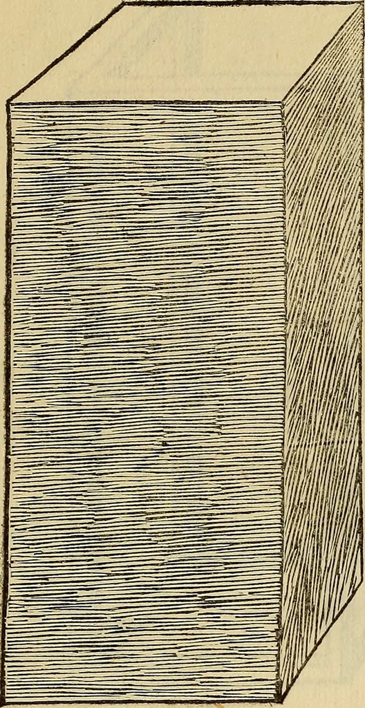 An illustration from Divina proportione : opera a tutti glingegni perspicaci e curiosi necessaria oue ciascun studioso di philosophia: prospettiua pictura sculptura: architectura: musica: e altre mathematice: suavissima: sotile: e admirabile doctrina consequira: e delecterassi: co[n] varie questione de secretissima scientia, 1509, leaf 278