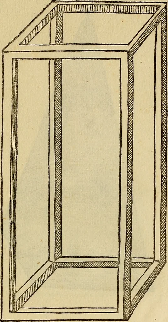 An illustration from Divina proportione : opera a tutti glingegni perspicaci e curiosi necessaria oue ciascun studioso di philosophia: prospettiua pictura sculptura: architectura: musica: e altre mathematice: suavissima: sotile: e admirabile doctrina consequira: e delecterassi: co[n] varie questione de secretissima scientia, 1509, leaf 280