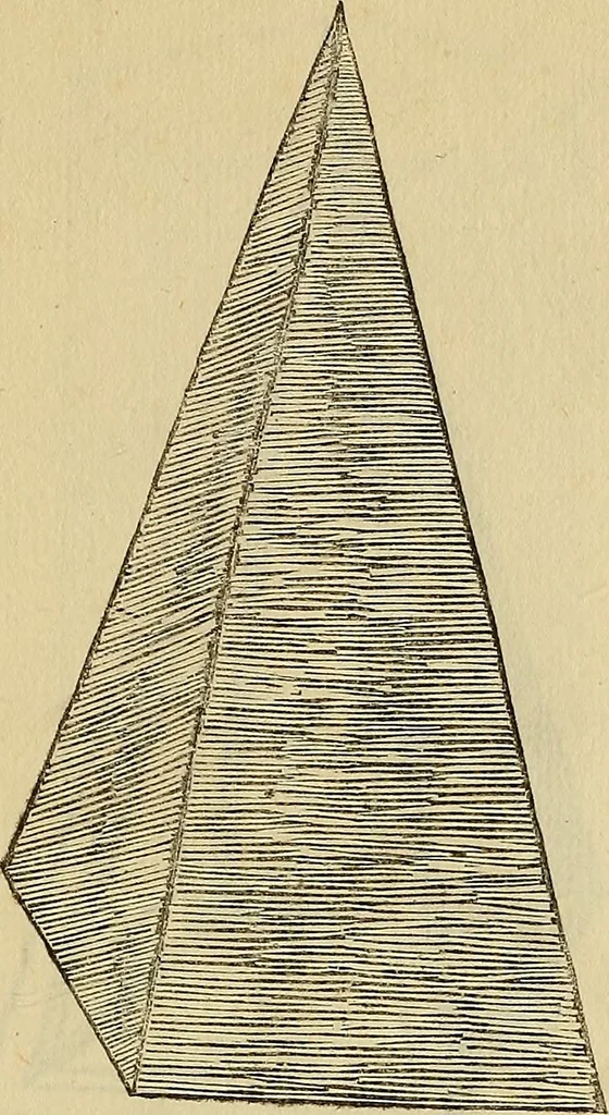 An illustration from Divina proportione : opera a tutti glingegni perspicaci e curiosi necessaria oue ciascun studioso di philosophia: prospettiua pictura sculptura: architectura: musica: e altre mathematice: suavissima: sotile: e admirabile doctrina consequira: e delecterassi: co[n] varie questione de secretissima scientia, 1509, leaf 282