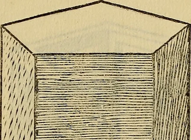 An illustration from Divina proportione : opera a tutti glingegni perspicaci e curiosi necessaria oue ciascun studioso di philosophia: prospettiua pictura sculptura: architectura: musica: e altre mathematice: suavissima: sotile: e admirabile doctrina consequira: e delecterassi: co[n] varie questione de secretissima scientia, 1509, leaf 288