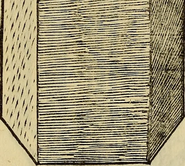 An illustration from Divina proportione : opera a tutti glingegni perspicaci e curiosi necessaria oue ciascun studioso di philosophia: prospettiua pictura sculptura: architectura: musica: e altre mathematice: suavissima: sotile: e admirabile doctrina consequira: e delecterassi: co[n] varie questione de secretissima scientia, 1509, leaf 288