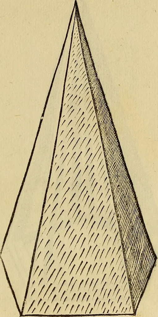 An illustration from Divina proportione : opera a tutti glingegni perspicaci e curiosi necessaria oue ciascun studioso di philosophia: prospettiua pictura sculptura: architectura: musica: e altre mathematice: suavissima: sotile: e admirabile doctrina consequira: e delecterassi: co[n] varie questione de secretissima scientia, 1509, leaf 292