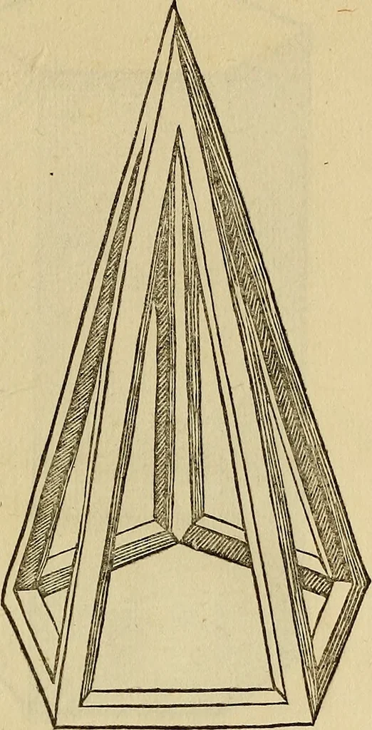 An illustration from Divina proportione : opera a tutti glingegni perspicaci e curiosi necessaria oue ciascun studioso di philosophia: prospettiua pictura sculptura: architectura: musica: e altre mathematice: suavissima: sotile: e admirabile doctrina consequira: e delecterassi: co[n] varie questione de secretissima scientia, 1509, leaf 294