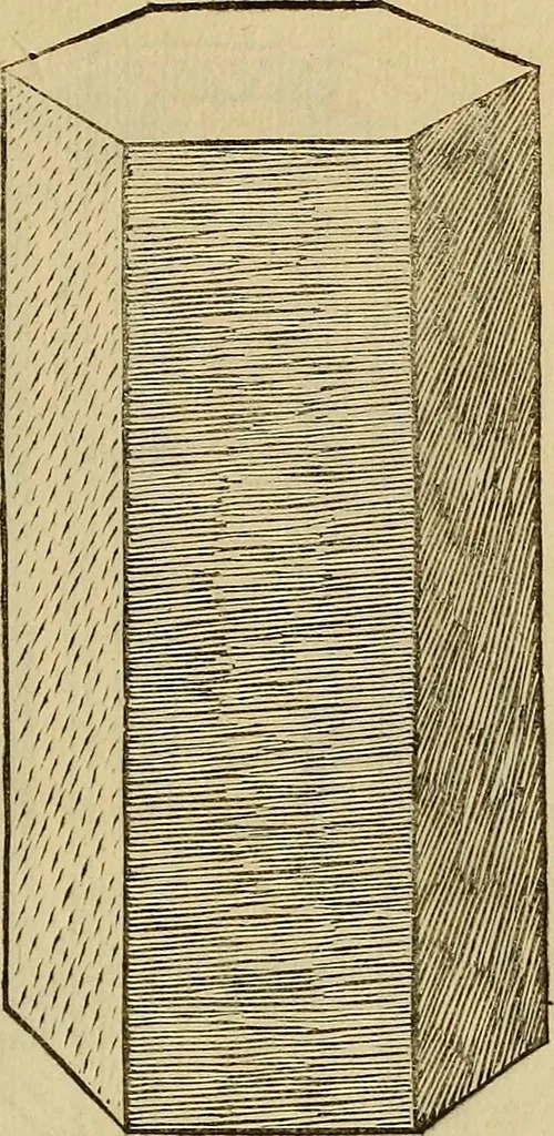 An illustration from Divina proportione : opera a tutti glingegni perspicaci e curiosi necessaria oue ciascun studioso di philosophia: prospettiua pictura sculptura: architectura: musica: e altre mathematice: suavissima: sotile: e admirabile doctrina consequira: e delecterassi: co[n] varie questione de secretissima scientia, 1509, leaf 296