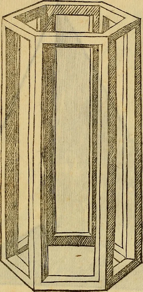 An illustration from Divina proportione : opera a tutti glingegni perspicaci e curiosi necessaria oue ciascun studioso di philosophia: prospettiua pictura sculptura: architectura: musica: e altre mathematice: suavissima: sotile: e admirabile doctrina consequira: e delecterassi: co[n] varie questione de secretissima scientia, 1509, leaf 298