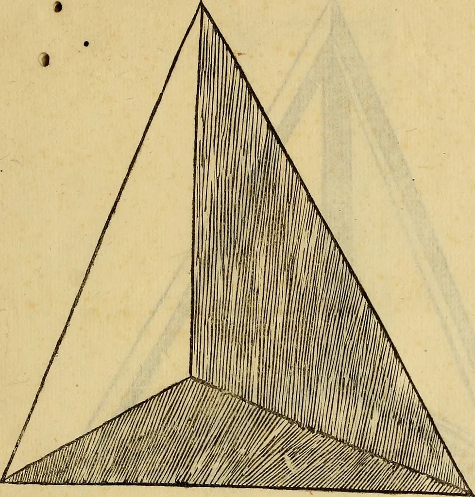 An illustration from Divina proportione : opera a tutti glingegni perspicaci e curiosi necessaria oue ciascun studioso di philosophia: prospettiua pictura sculptura: architectura: musica: e altre mathematice: suavissima: sotile: e admirabile doctrina consequira: e delecterassi: co[n] varie questione de secretissima scientia, 1509, leaf 300