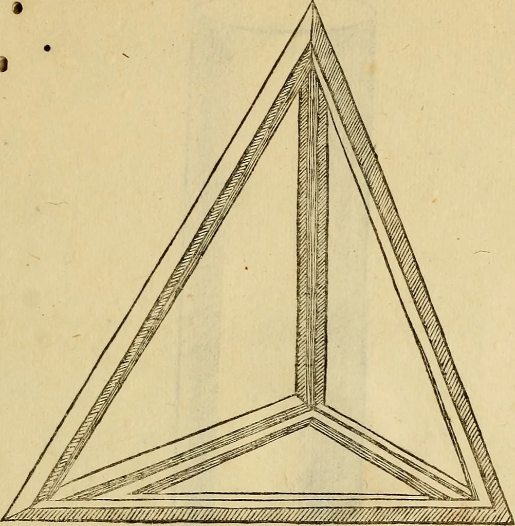 An illustration from Divina proportione : opera a tutti glingegni perspicaci e curiosi necessaria oue ciascun studioso di philosophia: prospettiua pictura sculptura: architectura: musica: e altre mathematice: suavissima: sotile: e admirabile doctrina consequira: e delecterassi: co[n] varie questione de secretissima scientia, 1509, leaf 302