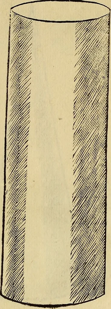 An illustration from Divina proportione : opera a tutti glingegni perspicaci e curiosi necessaria oue ciascun studioso di philosophia: prospettiua pictura sculptura: architectura: musica: e altre mathematice: suavissima: sotile: e admirabile doctrina consequira: e delecterassi: co[n] varie questione de secretissima scientia, 1509, leaf 304