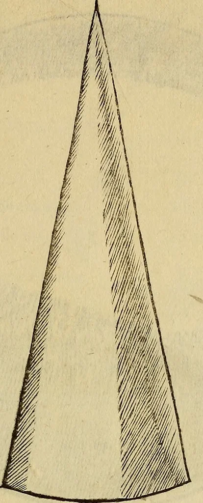 An illustration from Divina proportione : opera a tutti glingegni perspicaci e curiosi necessaria oue ciascun studioso di philosophia: prospettiua pictura sculptura: architectura: musica: e altre mathematice: suavissima: sotile: e admirabile doctrina consequira: e delecterassi: co[n] varie questione de secretissima scientia, 1509, leaf 306