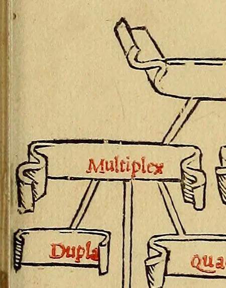 An illustration from Divina proportione : opera a tutti glingegni perspicaci e curiosi necessaria oue ciascun studioso di philosophia: prospettiua pictura sculptura: architectura: musica: e altre mathematice: suavissima: sotile: e admirabile doctrina consequira: e delecterassi: co[n] varie questione de secretissima scientia, 1509, leaf 310