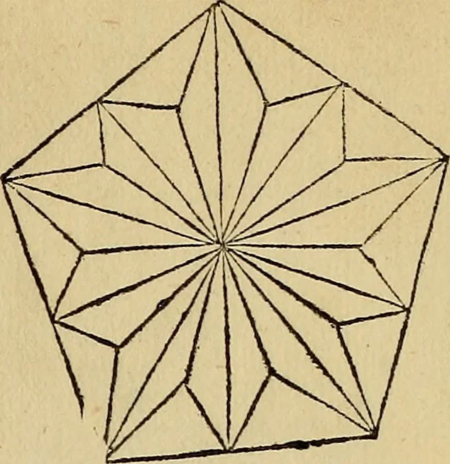 An illustration from Divina proportione : opera a tutti glingegni perspicaci e curiosi necessaria oue ciascun studioso di philosophia: prospettiua pictura sculptura: architectura: musica: e altre mathematice: suavissima: sotile: e admirabile doctrina consequira: e delecterassi: co[n] varie questione de secretissima scientia, 1509, leaf 48
