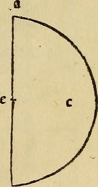 An illustration from Divina proportione : opera a tutti glingegni perspicaci e curiosi necessaria oue ciascun studioso di philosophia: prospettiua pictura sculptura: architectura: musica: e altre mathematice: suavissima: sotile: e admirabile doctrina consequira: e delecterassi: co[n] varie questione de secretissima scientia, 1509, leaf 48