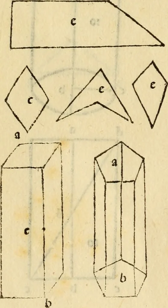 An illustration from Divina proportione : opera a tutti glingegni perspicaci e curiosi necessaria oue ciascun studioso di philosophia: prospettiua pictura sculptura: architectura: musica: e altre mathematice: suavissima: sotile: e admirabile doctrina consequira: e delecterassi: co[n] varie questione de secretissima scientia, 1509, leaf 53