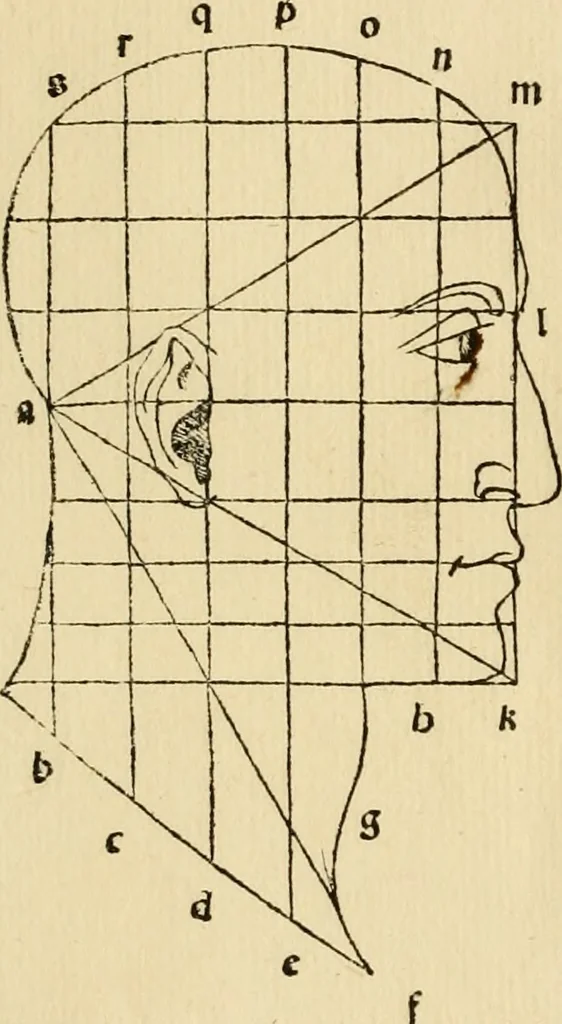 An illustration from Divina proportione : opera a tutti glingegni perspicaci e curiosi necessaria oue ciascun studioso di philosophia: prospettiua pictura sculptura: architectura: musica: e altre mathematice: suavissima: sotile: e admirabile doctrina consequira: e delecterassi: co[n] varie questione de secretissima scientia, 1509, leaf 65