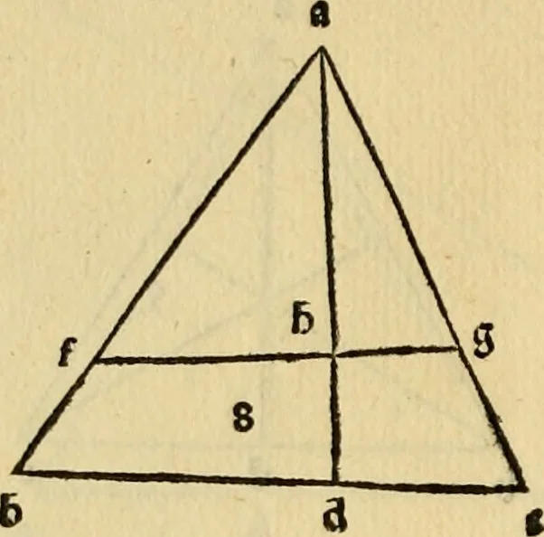 An illustration from Divina proportione : opera a tutti glingegni perspicaci e curiosi necessaria oue ciascun studioso di philosophia: prospettiua pictura sculptura: architectura: musica: e altre mathematice: suavissima: sotile: e admirabile doctrina consequira: e delecterassi: co[n] varie questione de secretissima scientia, 1509, leaf 87