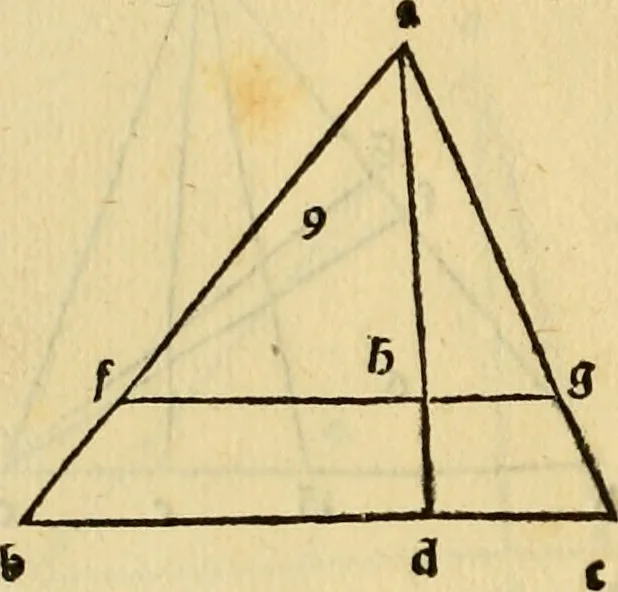An illustration from Divina proportione : opera a tutti glingegni perspicaci e curiosi necessaria oue ciascun studioso di philosophia: prospettiua pictura sculptura: architectura: musica: e altre mathematice: suavissima: sotile: e admirabile doctrina consequira: e delecterassi: co[n] varie questione de secretissima scientia, 1509, leaf 87