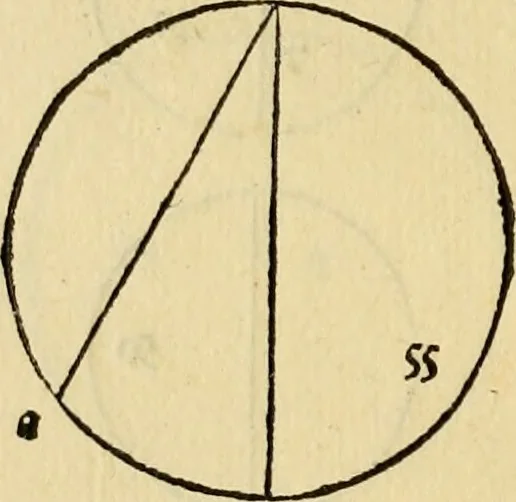 An illustration from Divina proportione : opera a tutti glingegni perspicaci e curiosi necessaria oue ciascun studioso di philosophia: prospettiua pictura sculptura: architectura: musica: e altre mathematice: suavissima: sotile: e admirabile doctrina consequira: e delecterassi: co[n] varie questione de secretissima scientia, 1509, leaf 99