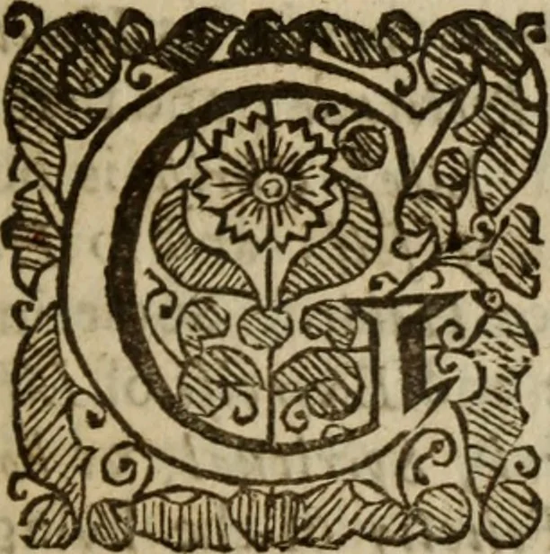 An illustration from The divine life, in three treatises : the first, Of the knowledge of God ; the second, Of walking with God ; the third, Of coversing with God in solitude, 1664, leaf 30