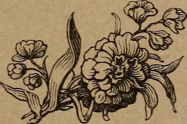 An illustration from Divine emblems, 1867, leaf 22