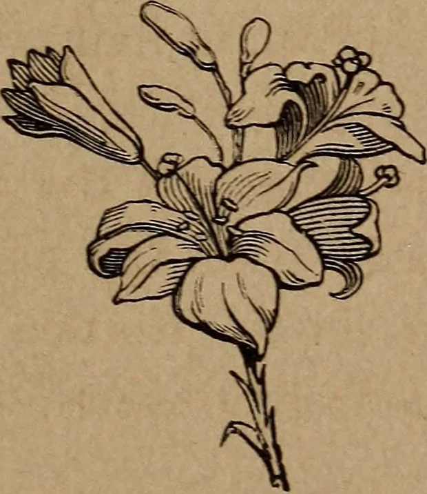 An illustration from Divine emblems, 1867, leaf 34