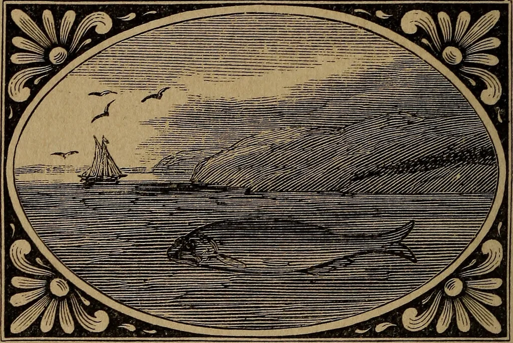 An illustration from Divine emblems, 1867, leaf 45